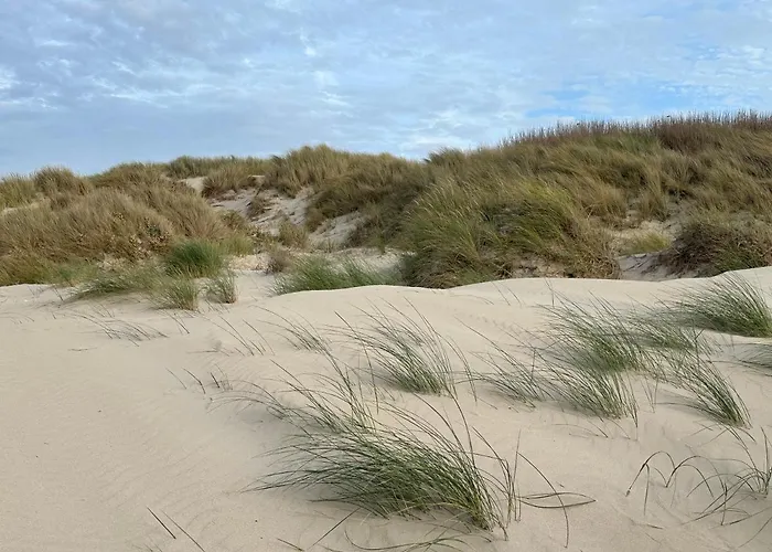 Appartement 10 Mn Berck Le Touquet Avec Jardin *